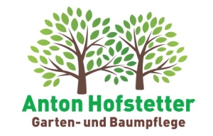 Skip to the home page